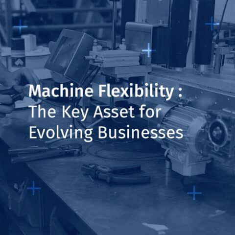 Machine Flexibility : The Key Asset for Evolving Businesses
