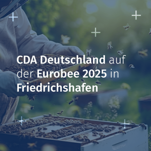 Eurobee 2025